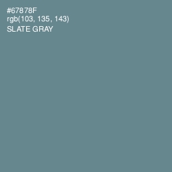 #67878F - Slate Gray Color Image